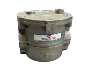 VIP BSP 6 Bar Gas Filter