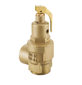 Nabic Fig 542 Safety Valve with Spring