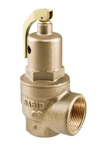 Nabic Fig 500 High Lift Safety Valve with Spring