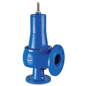 CSA Flanged PN16 Nominal Bore Ductile Iron Angled Pattern Relief Valve