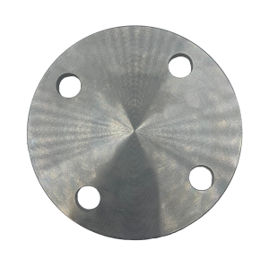 VIP BS10 Table E Blind Flanges, 316L