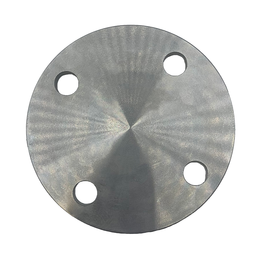 VIP BS10 Table E Blind Flanges, 316L
