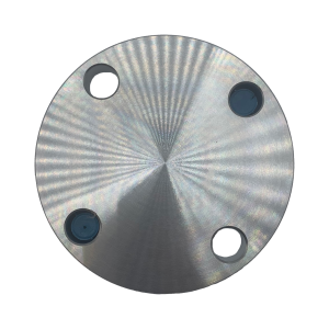 VIP ASA 150 RF Blind ASTM A182 316L Flanges