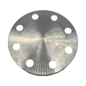 VIP PN16 Stainless Steel Blind Flanges, F/F 8 Hole