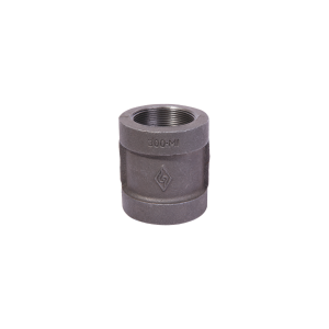 Black BSP Malleable Iron Female Socket, FxF