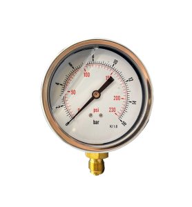 VIP Pressure Gauges, 4" Dials, Dry Sprinkler Gauge, Steel Case, 3/8" BSP Bottom Connection