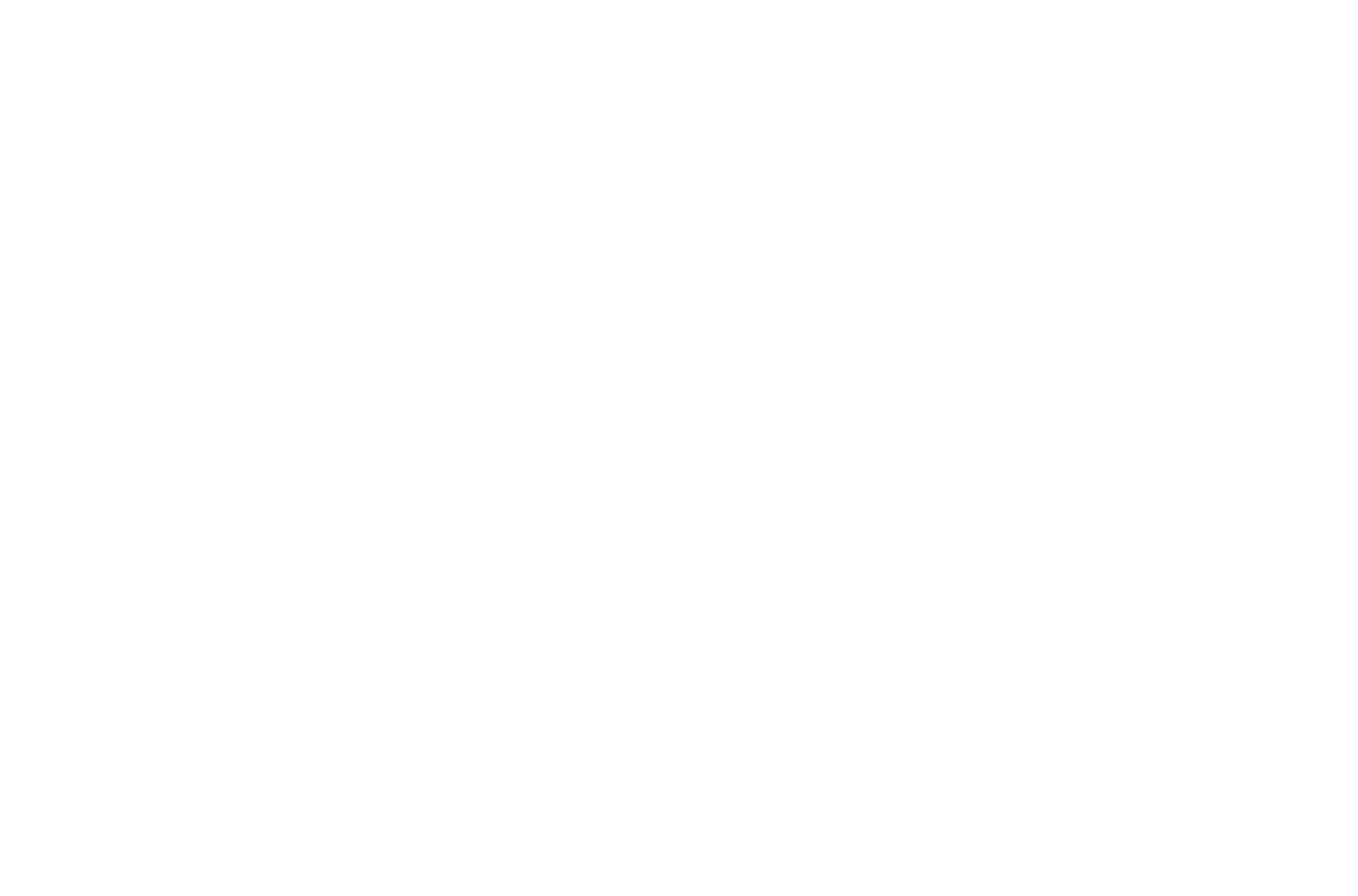 VIP Logo