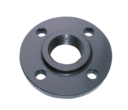 VIP BSPP Black PN16/113 Screwed Flanges