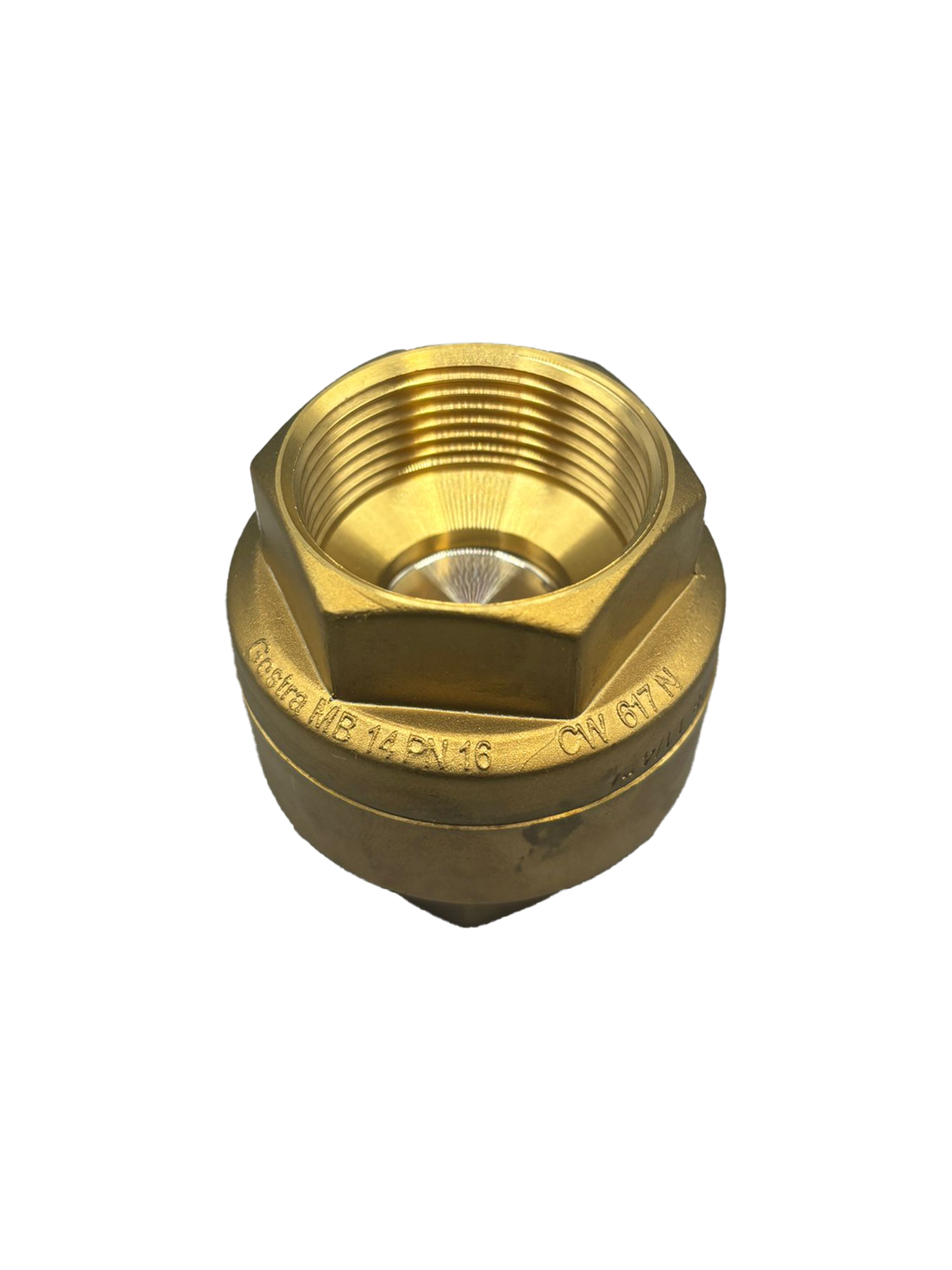 Gestra MB14 - Screwed Brass Spring-Loaded Non-Return Valve