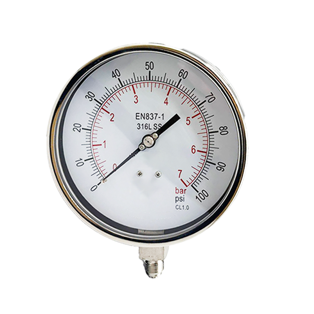 6" Dial Pressure Gauge, Stainless Steel Fillable Case, Vibration Dampened Movement, 3/8" BSP Bottom Connection