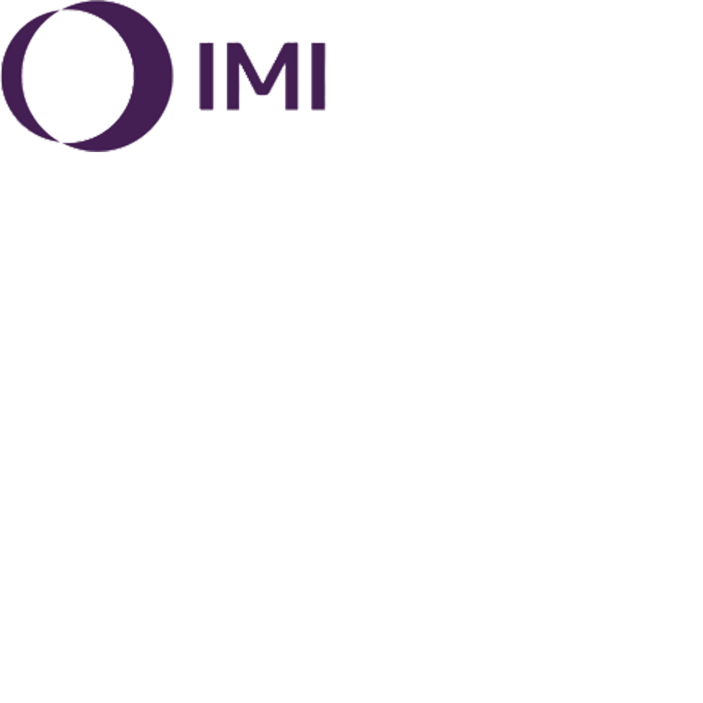 IMI Logo