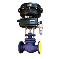 Globe Valves